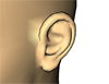 button for moving the listener